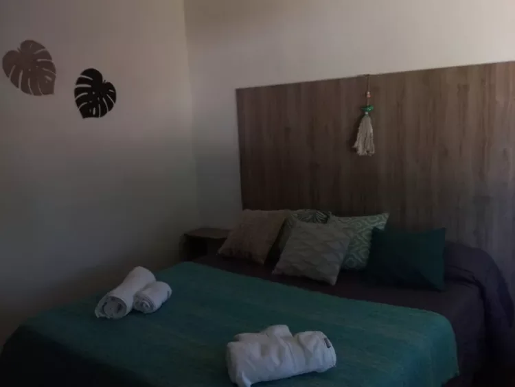 Suite Molle